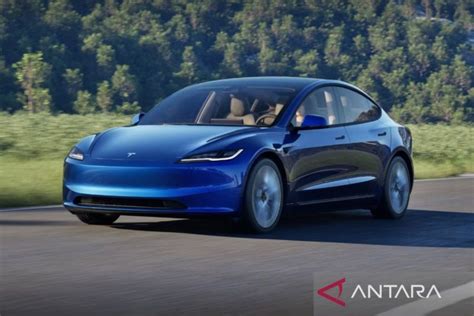 Galeri foto big win domino 16 langkah tingkatkan mega tesla dan paste di game penawaran spesial Apple diamond di di halaman blog